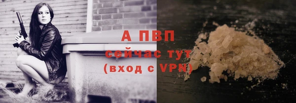 мяу мяу мука Новозыбков