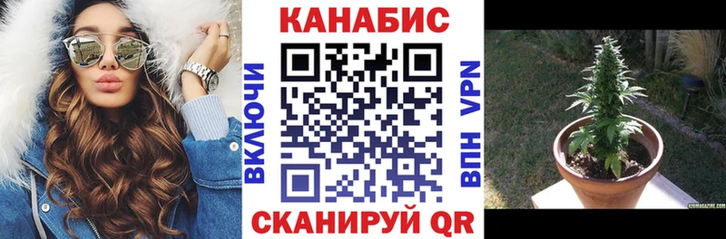 KRAKEN Микунь Канабис планчик