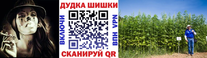 Бошки марихуана планчик Микунь